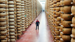Wanna earn some cheddar? Have we got a job for you!